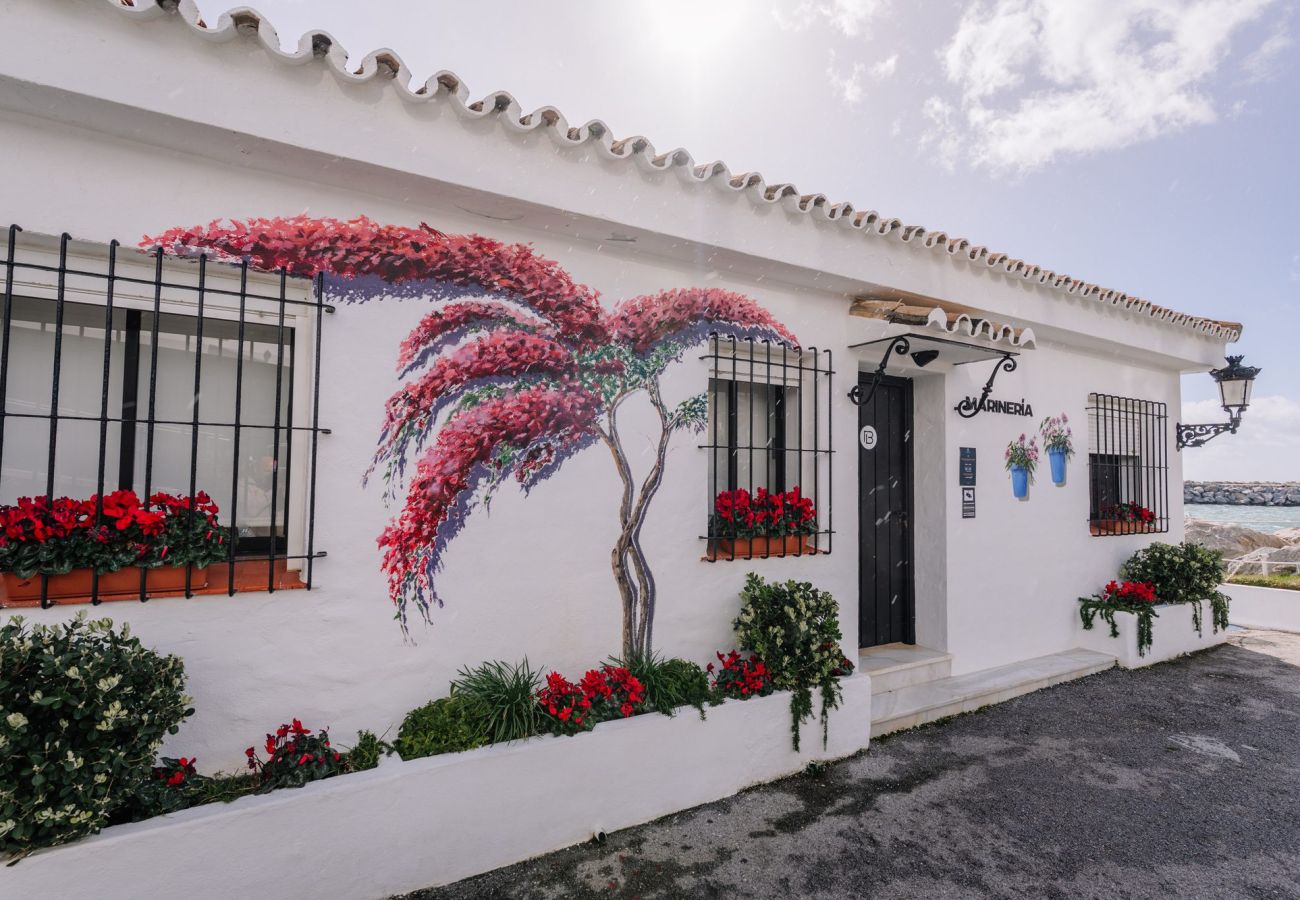 Apartamento en Cádiz - Apartamento La Caleta