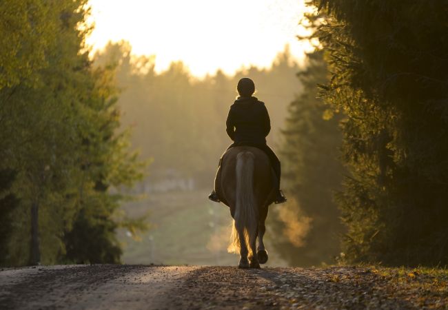 Rutas a caballo