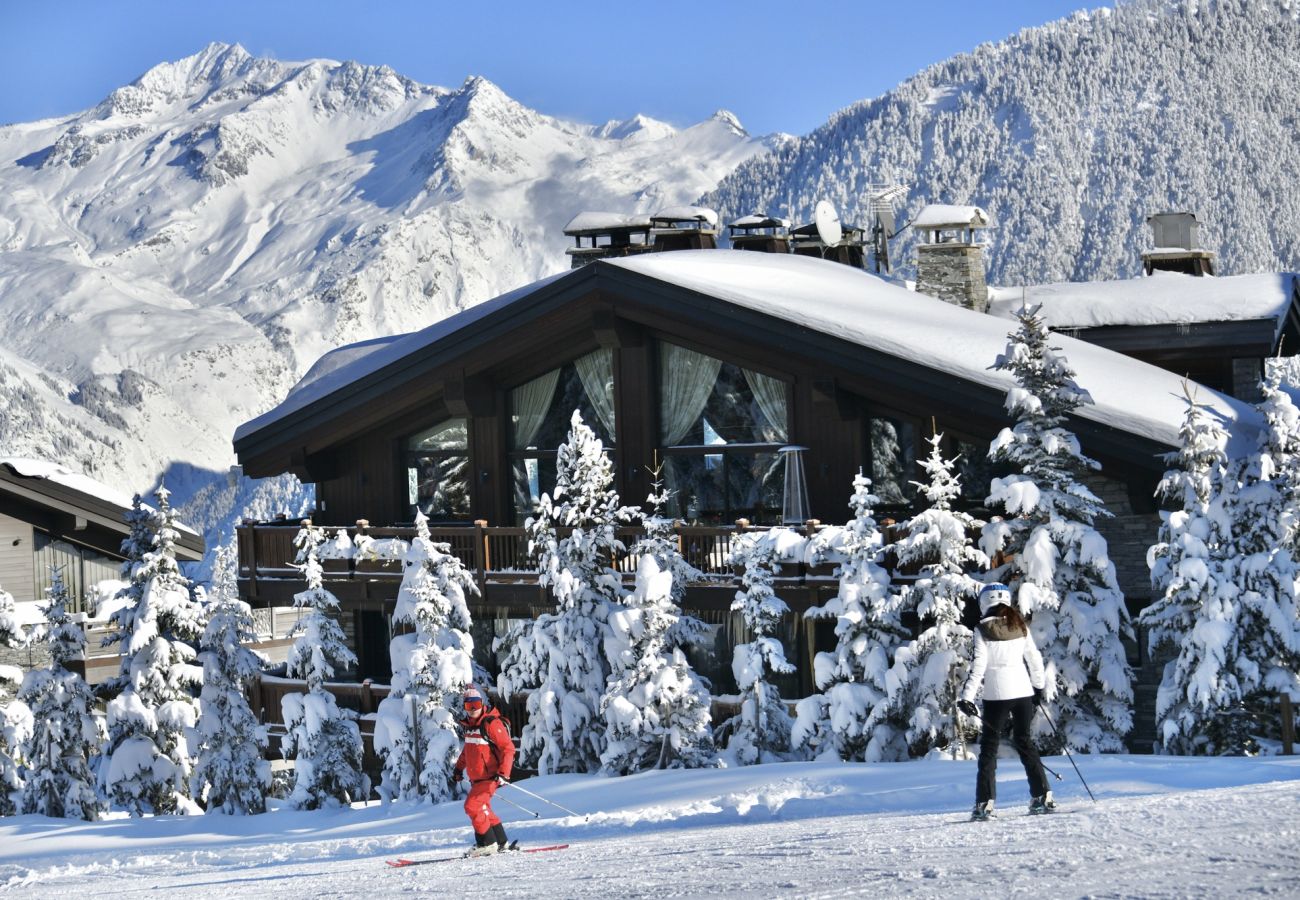 Chalet in Naut Aran - Chalet Vall Nevada
