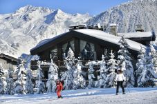 Chalet em Naut Aran - Chalet Vall Nevada
